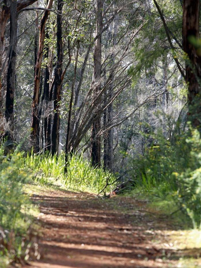 Heritage Trail Lodge Margaret River Екстер'єр фото